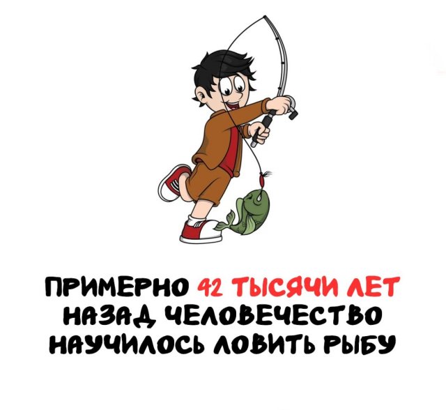 Интересные факты на все случаи жизни