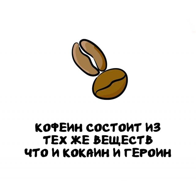 Интересные факты на все случаи жизни