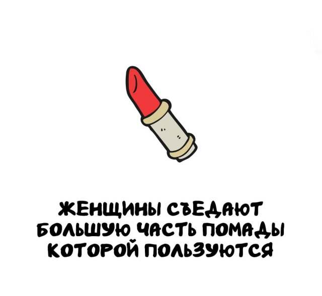 Интересные факты на все случаи жизни