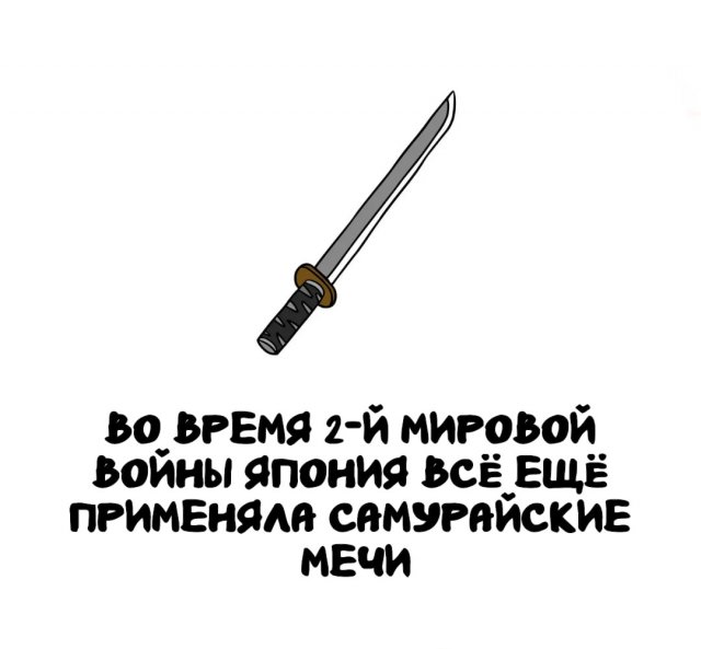 Интересные факты на все случаи жизни