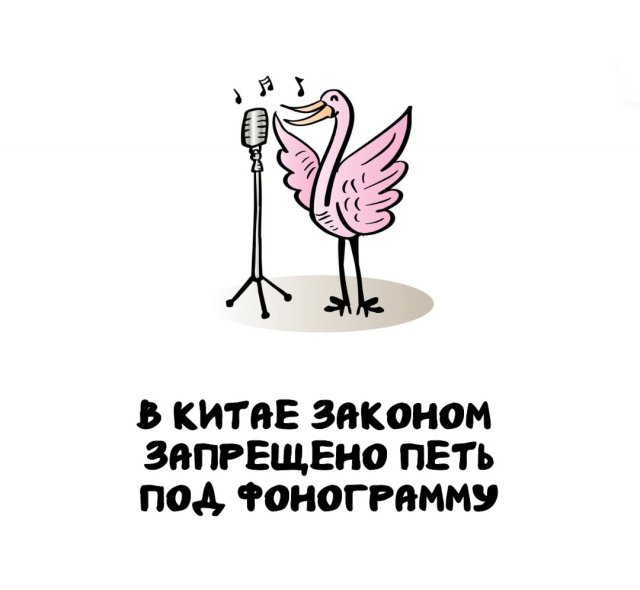 Интересные факты на все случаи жизни