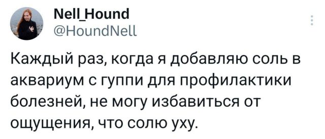 Подборка забавных твитов обо всем