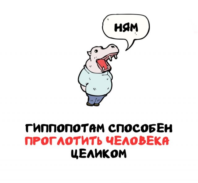 Интересные факты на все случаи жизни