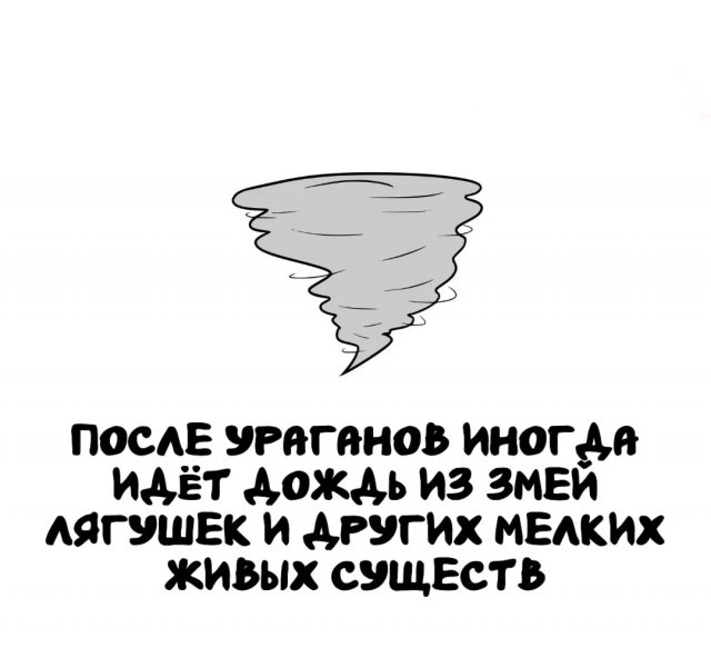 Интересные факты на все случаи жизни