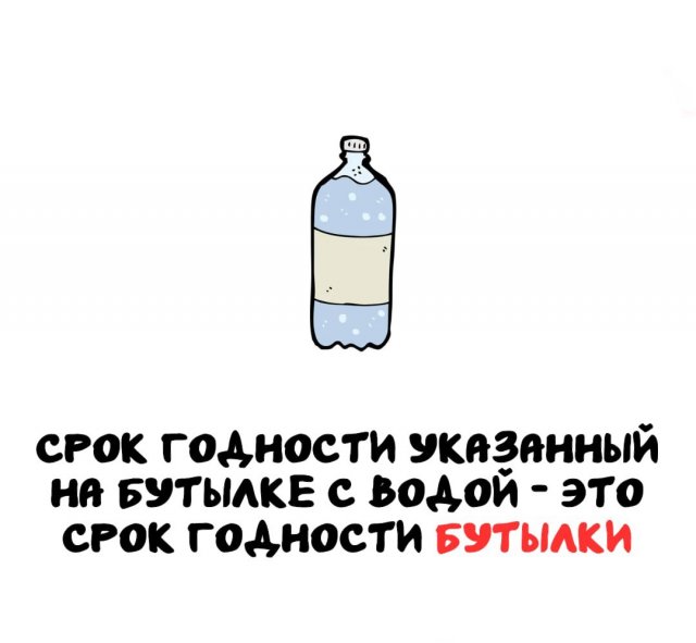 Интересные факты на все случаи жизни