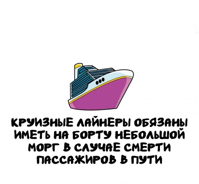 Интересные факты на все случаи жизни