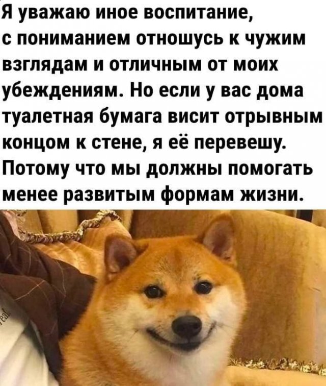 Смешные мемы - 23.06.2025