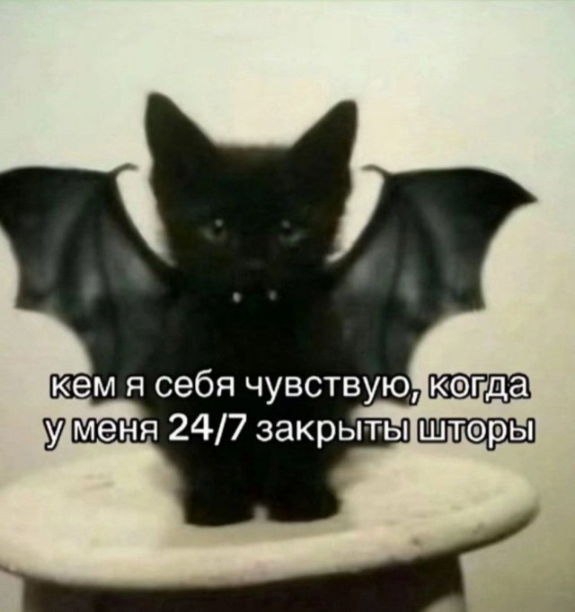 Смешные мемы - 23.06.2025