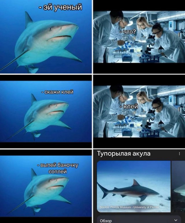 Смешные мемы - 23.06.2025