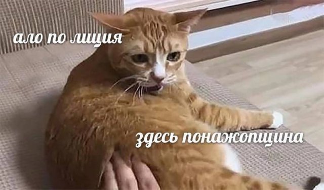 Смешные мемы - 23.06.2025