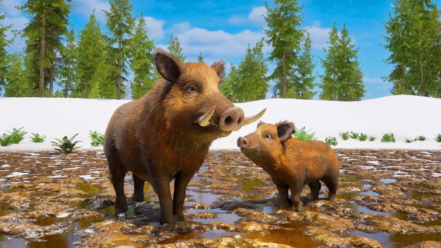 Будущая игра года — Wild Terrain, где вы играете за дикого кабана в постапокалиптическом лесу