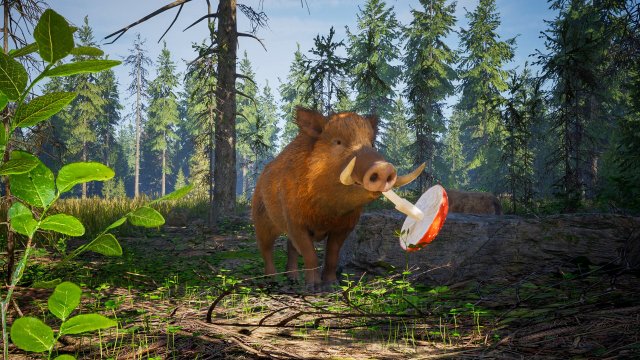Будущая игра года — Wild Terrain, где вы играете за дикого кабана в постапокалиптическом лесу