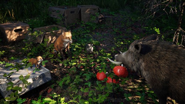 Будущая игра года — Wild Terrain, где вы играете за дикого кабана в постапокалиптическом лесу