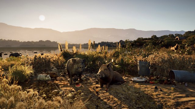 Будущая игра года — Wild Terrain, где вы играете за дикого кабана в постапокалиптическом лесу