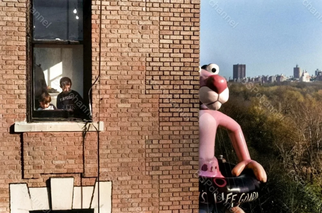 Розовая пантера, Нью-Йорк, 1988 год.