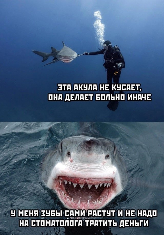 Смешные мемы - 24.06.2025