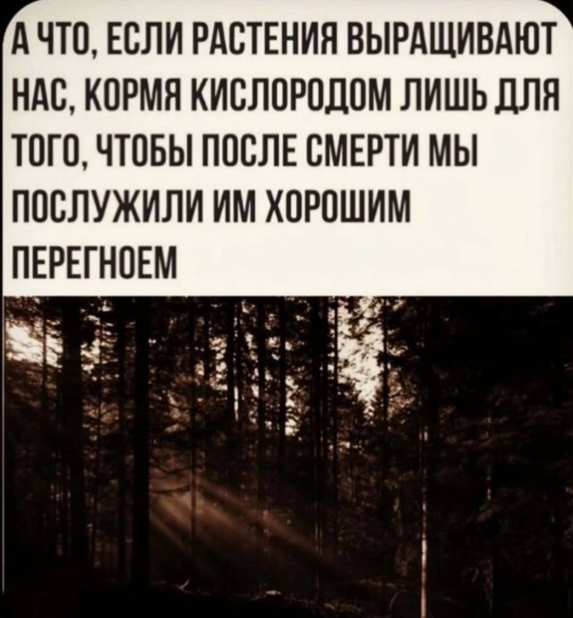 Смешные мемы - 24.06.2025