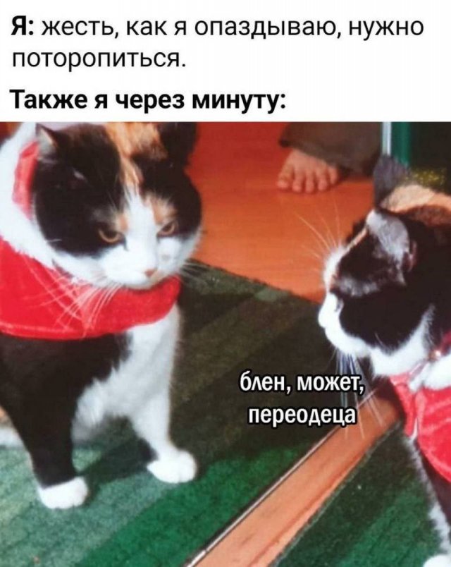 Смешные мемы - 24.06.2025