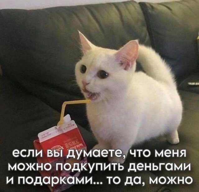 Смешные мемы - 24.06.2025