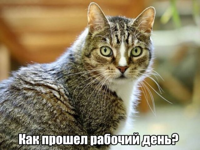 Трынделка - 24.06.2025