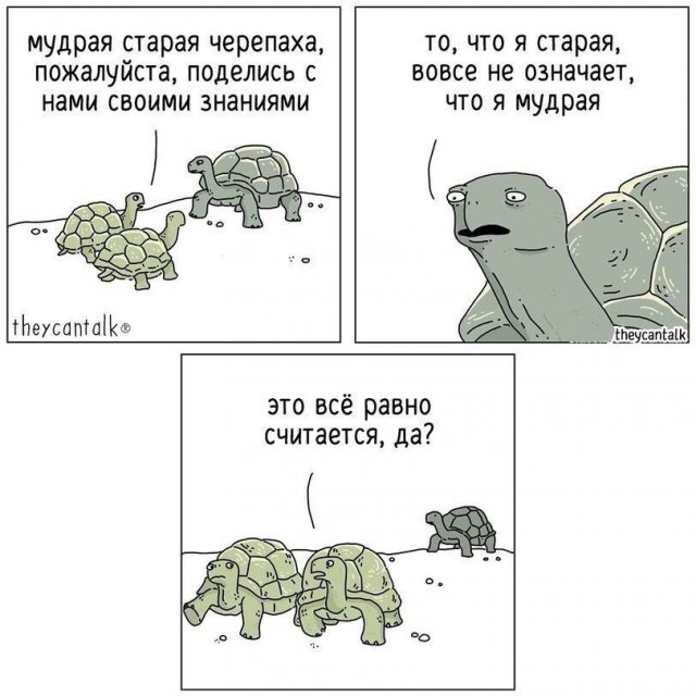 Смешные картинки - 24.06.2025