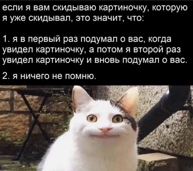 Смешные картинки - 24.06.2025