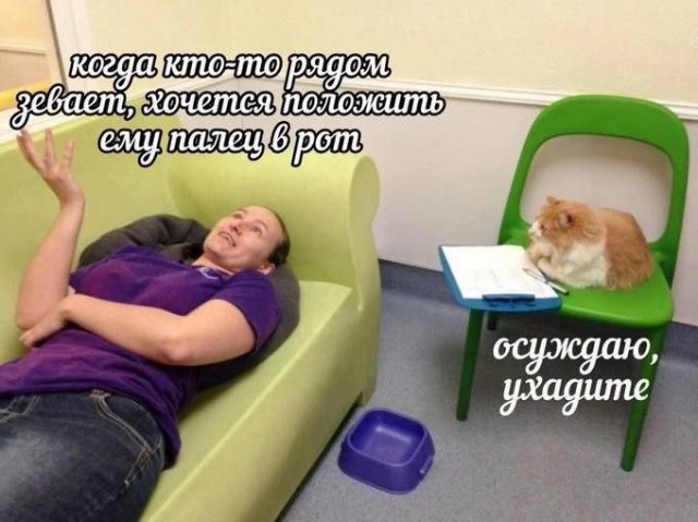 Лучшие шутки и мемы из Сети - 24.06.2025
