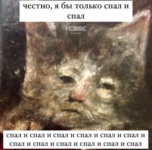 Лучшие шутки и мемы из Сети - 24.06.2025