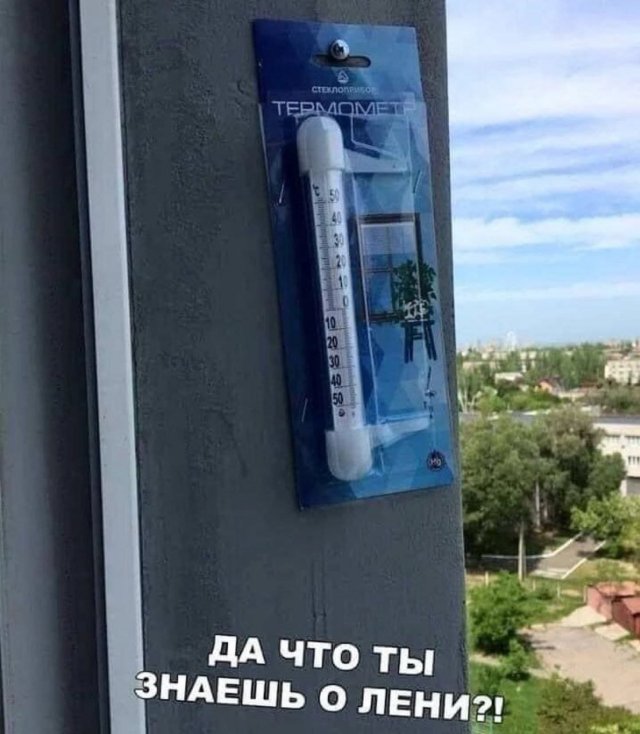 Лучшие шутки и мемы из Сети - 24.06.2025