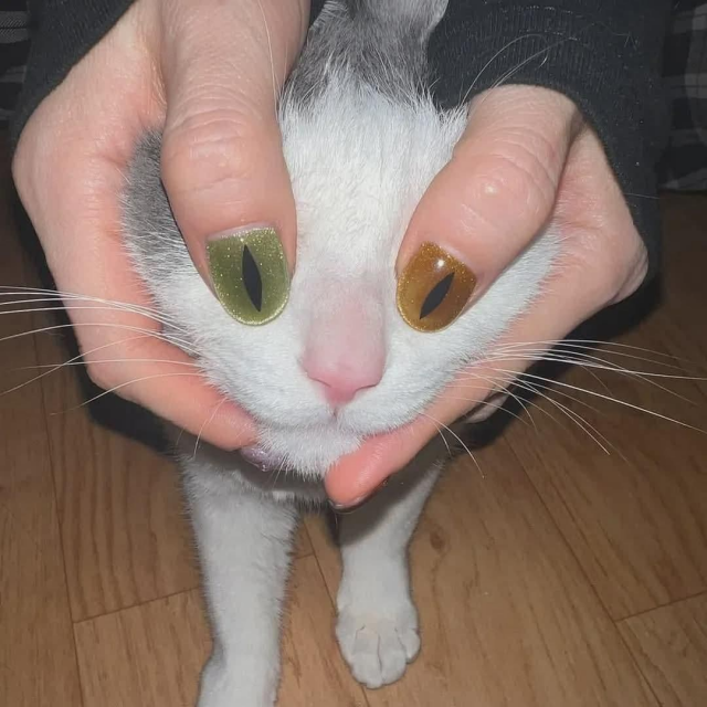 Отстаньте от кота Отстаньте от кота
