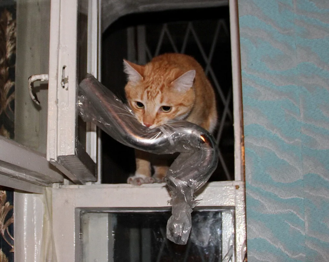 Профессиональный форточник Профессиональный форточник