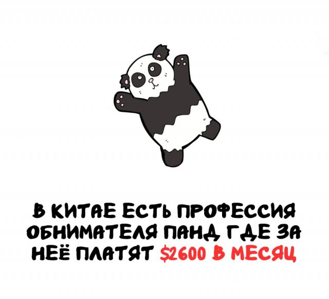 Интересные факты на все случаи жизни