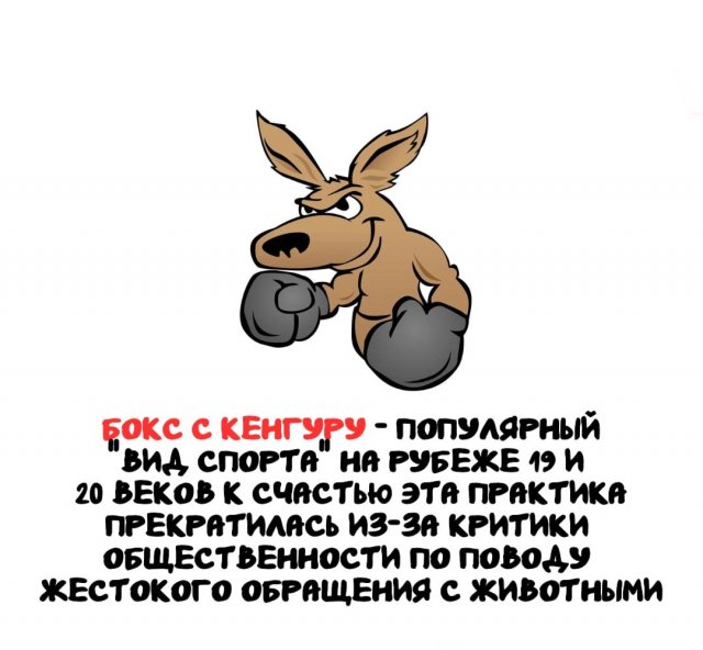 Интересные факты на все случаи жизни