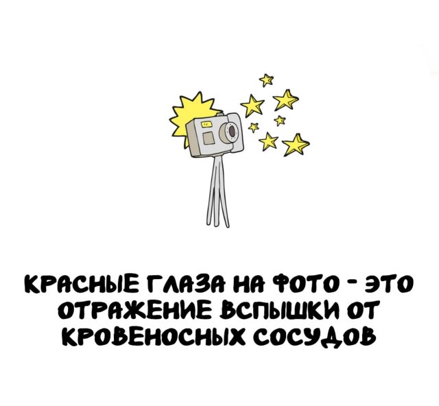 Интересные факты на все случаи жизни