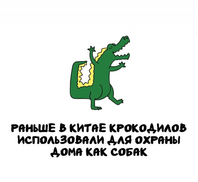 Интересные факты на все случаи жизни