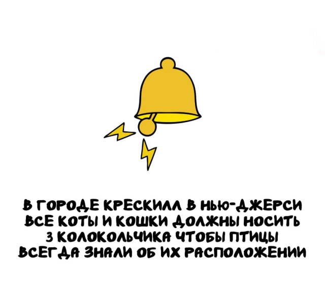 Интересные факты на все случаи жизни
