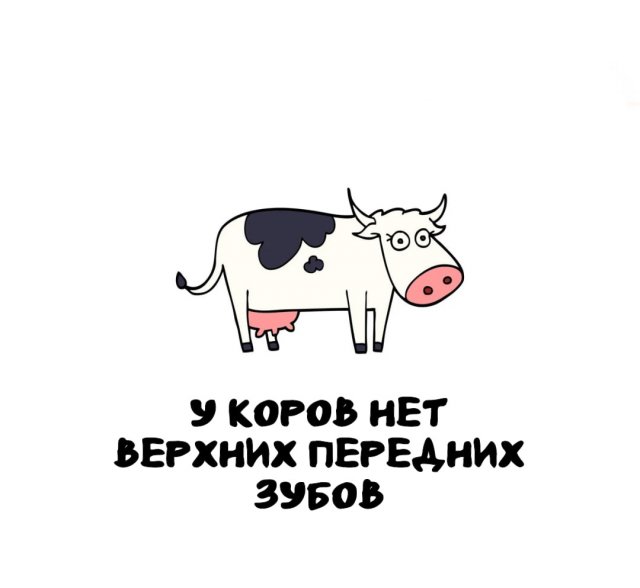 Интересные факты на все случаи жизни