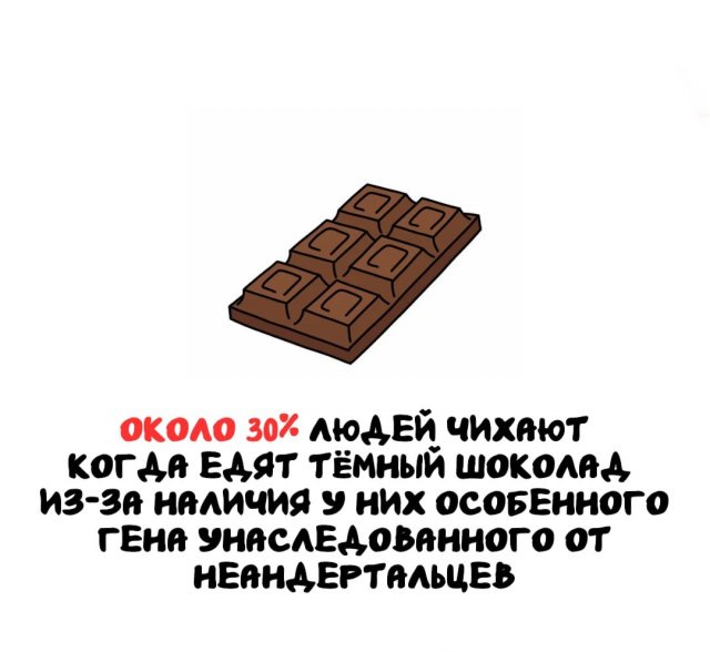 Интересные факты на все случаи жизни