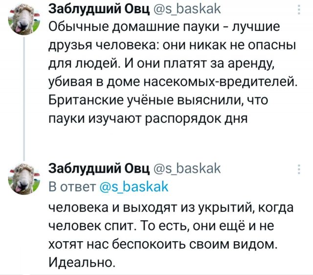 Подборка забавных твитов обо всем