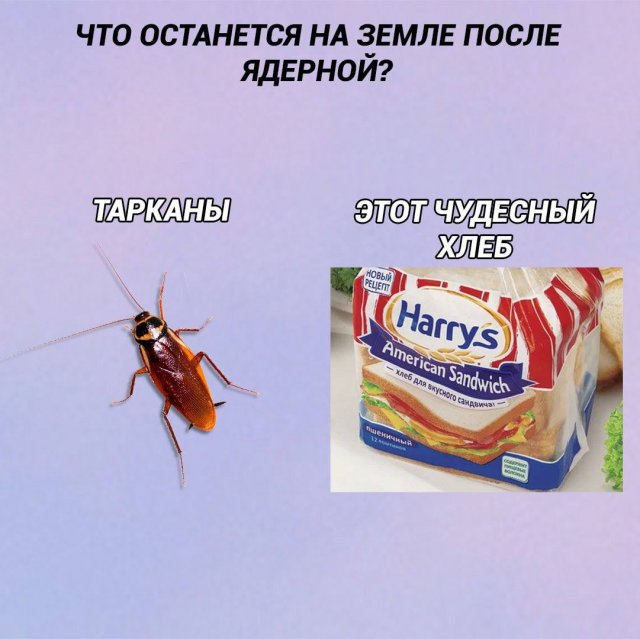 Лучшие шутки и мемы из Сети - 25.06.2025
