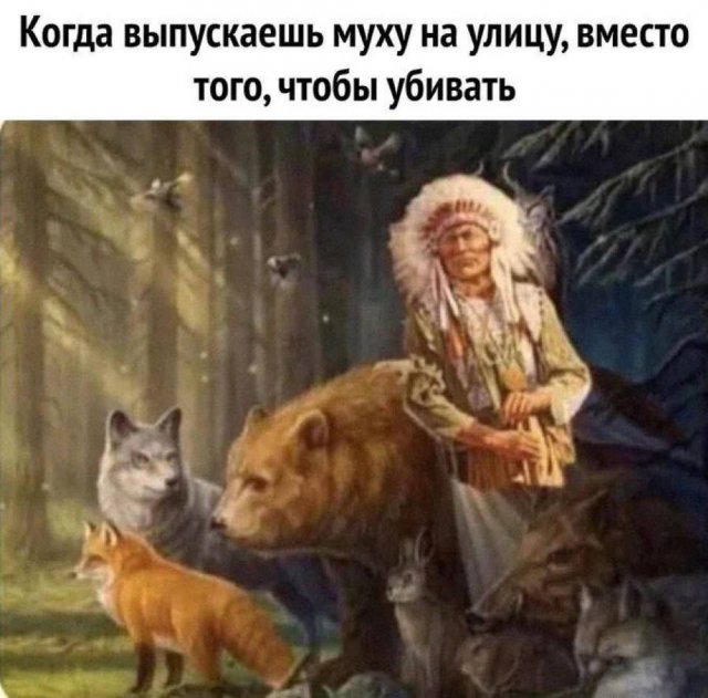 Лучшие шутки и мемы из Сети - 25.06.2025