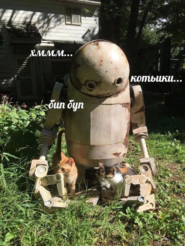 Лучшие шутки и мемы из Сети - 25.06.2025
