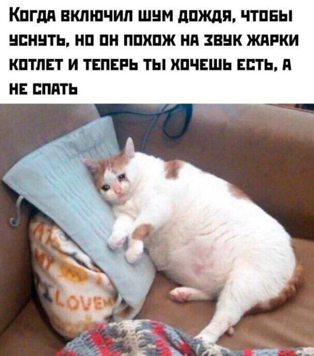 Лучшие шутки и мемы из Сети - 25.06.2025