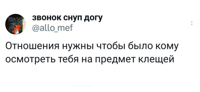 Подборка забавных твитов обо всем