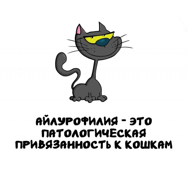Интересные факты на все случаи жизни