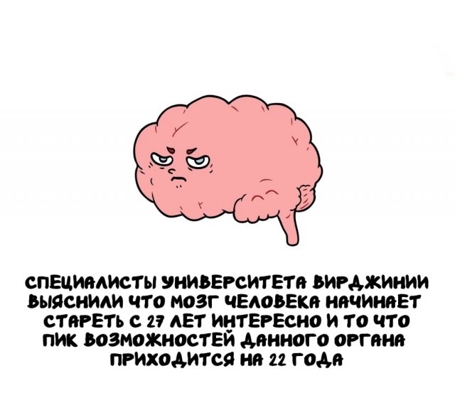 Интересные факты на все случаи жизни