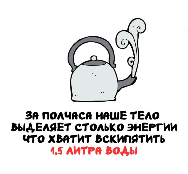 Интересные факты на все случаи жизни