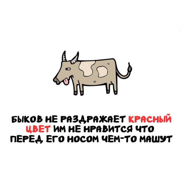 Интересные факты на все случаи жизни