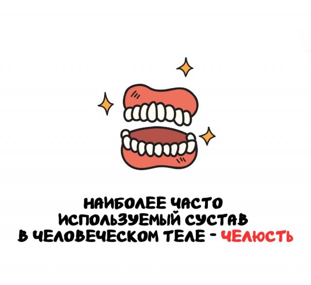 Интересные факты на все случаи жизни