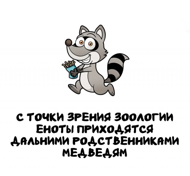 Интересные факты на все случаи жизни